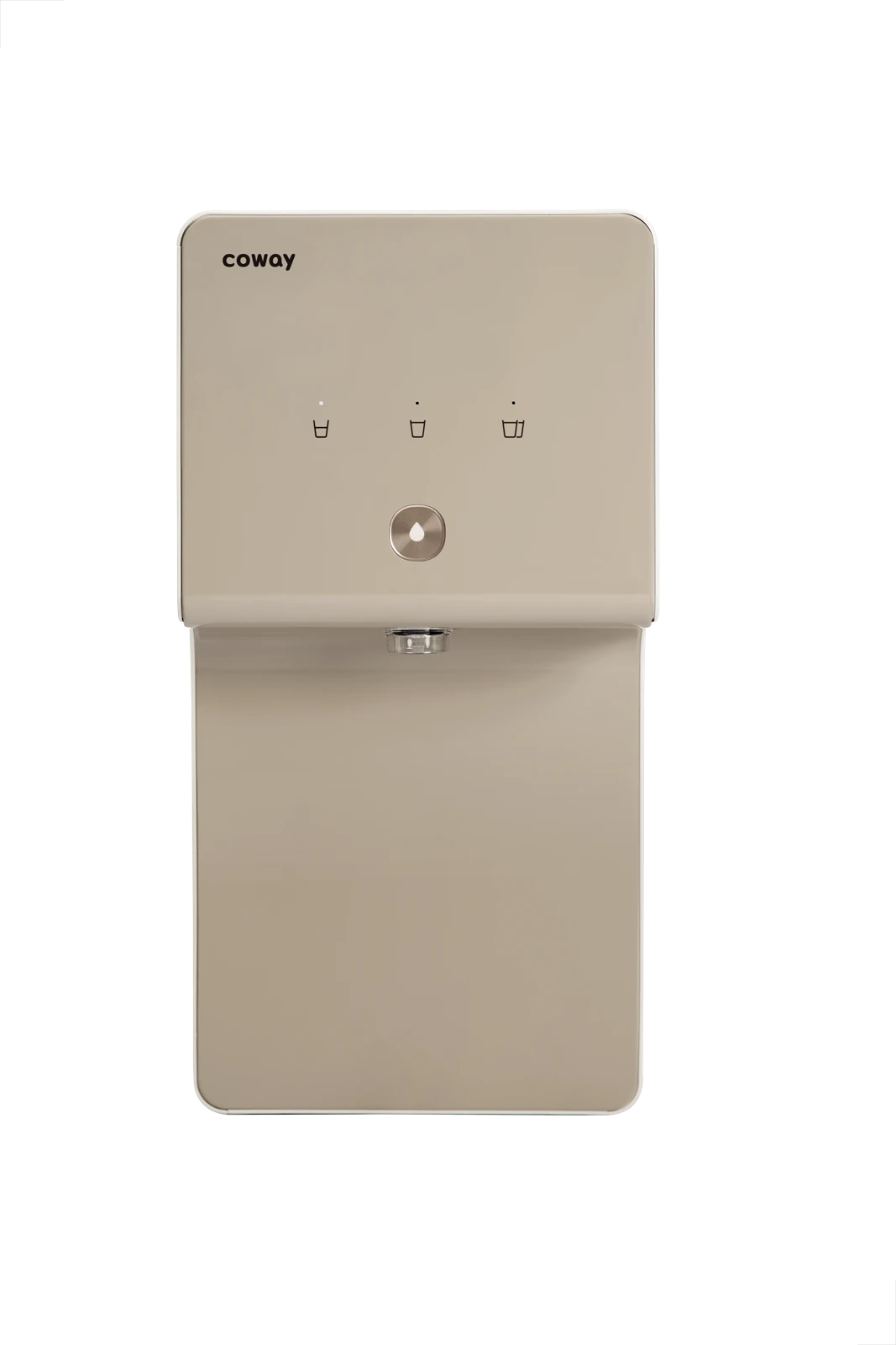 Cinnamon front view