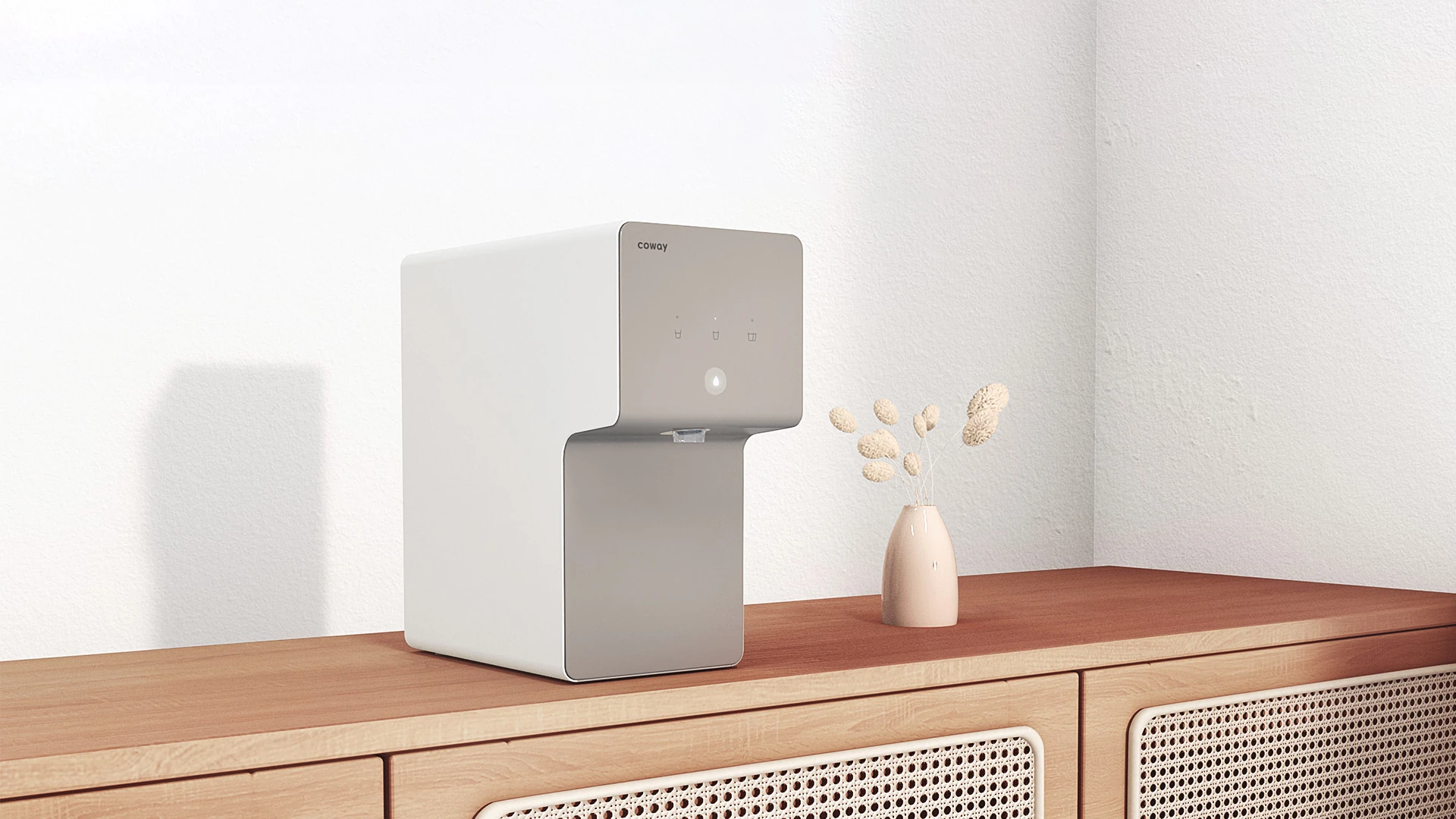 Cinnamon — Everyday Hydration Made Simple